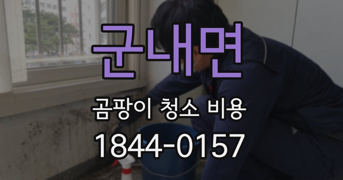 군내면 곰팡이 청소 비용