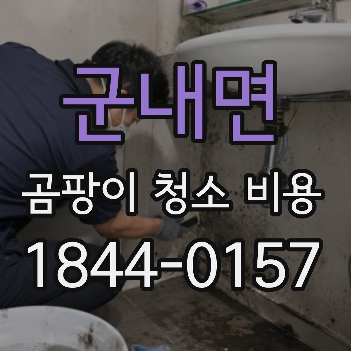 군내면 곰팡이 청소 비용