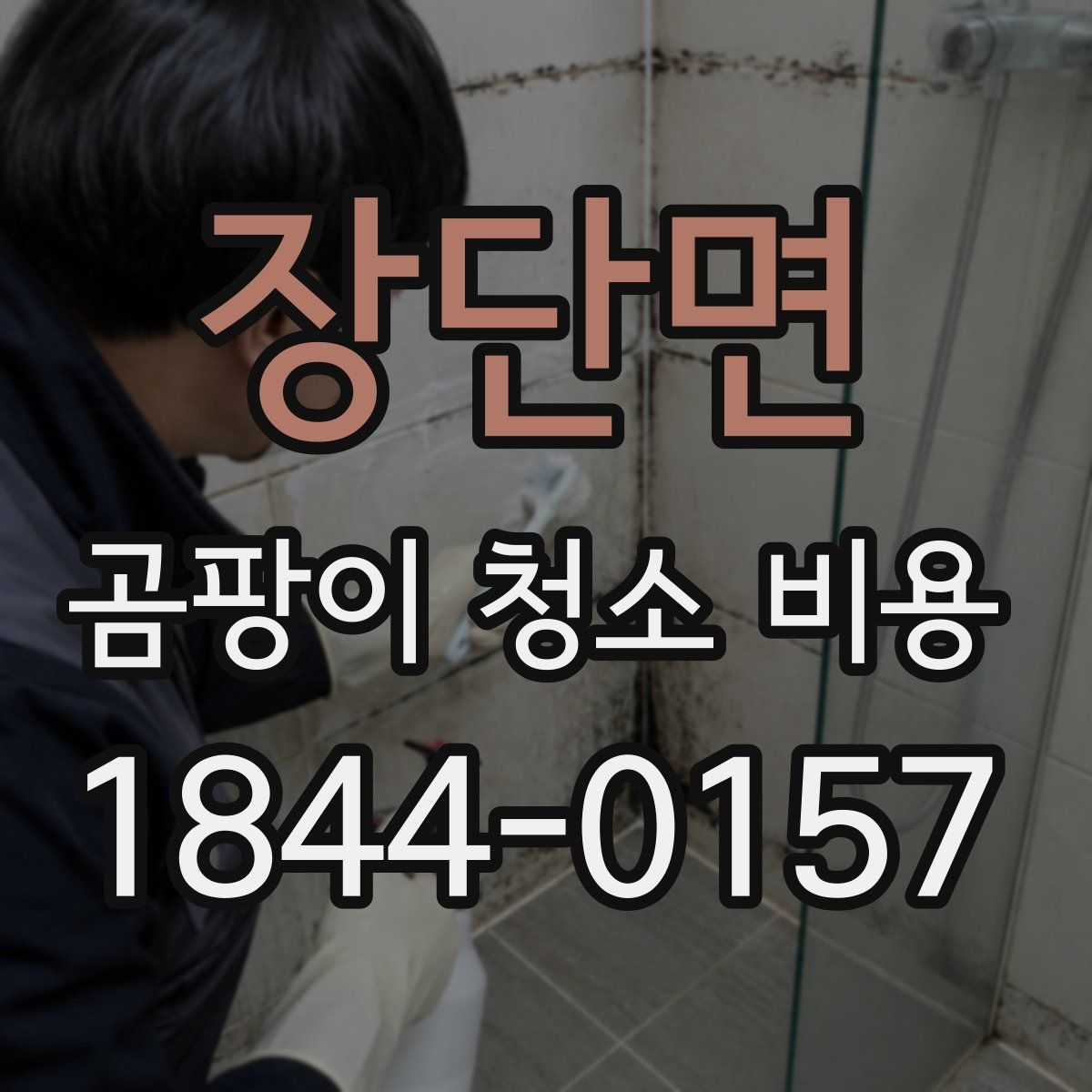 장단면 곰팡이 청소 비용