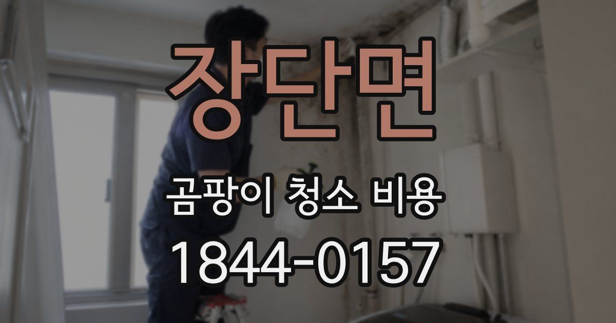 장단면 곰팡이 청소 비용