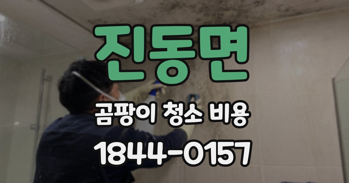 진동면 곰팡이 청소 비용