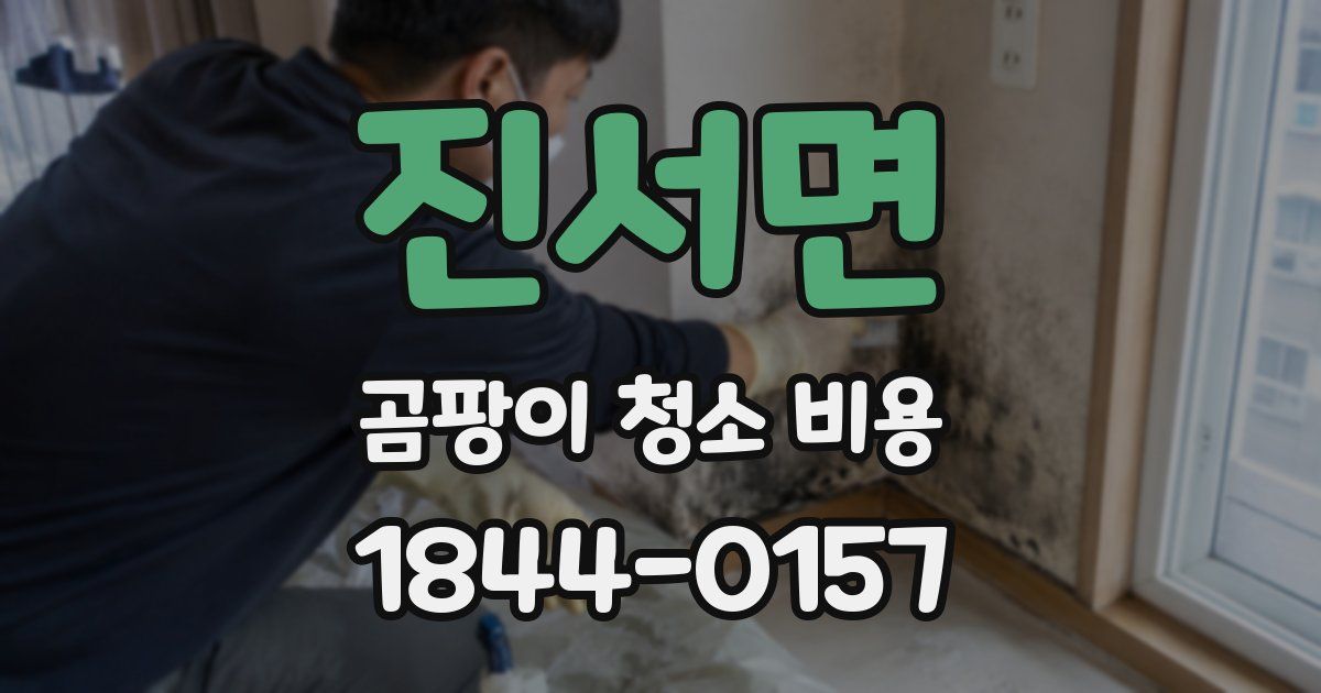 진서면 곰팡이 청소 비용