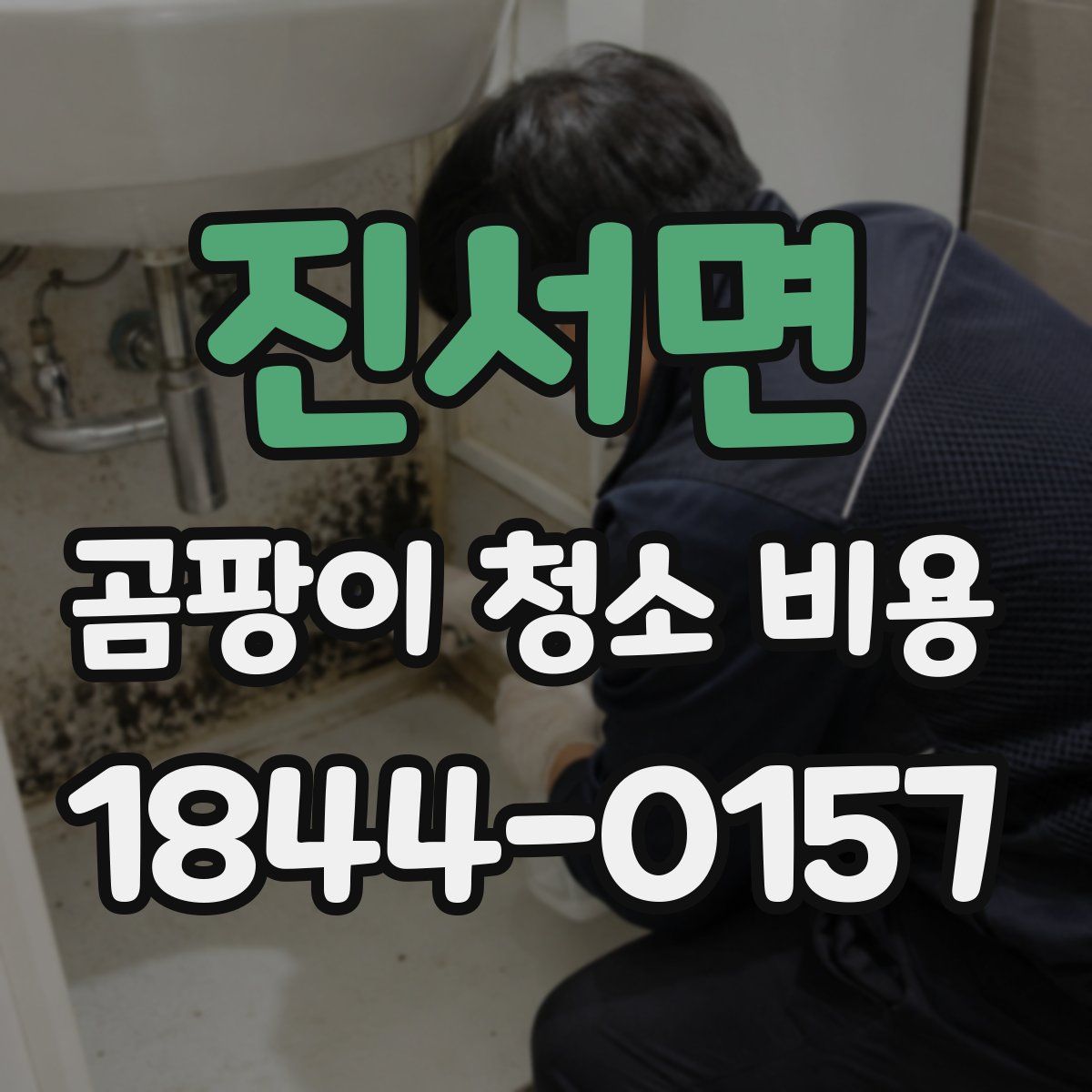 진서면 곰팡이 청소 비용