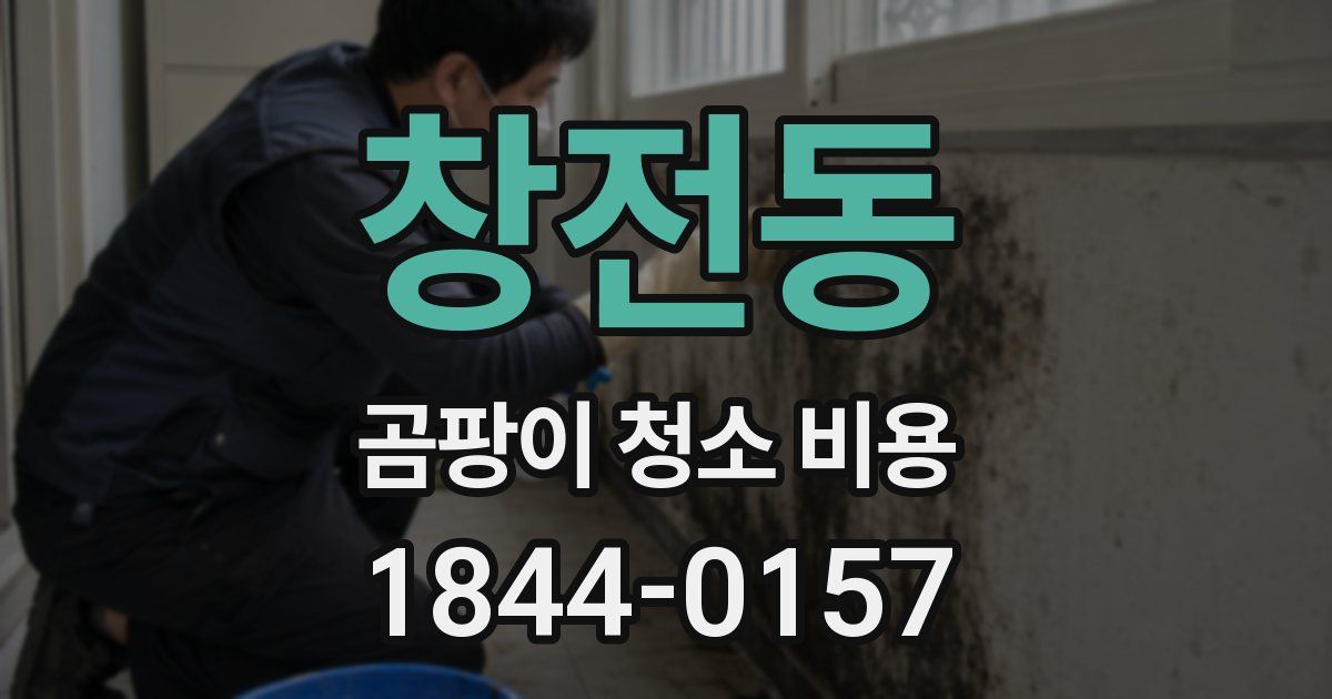 창전동 곰팡이 청소 비용