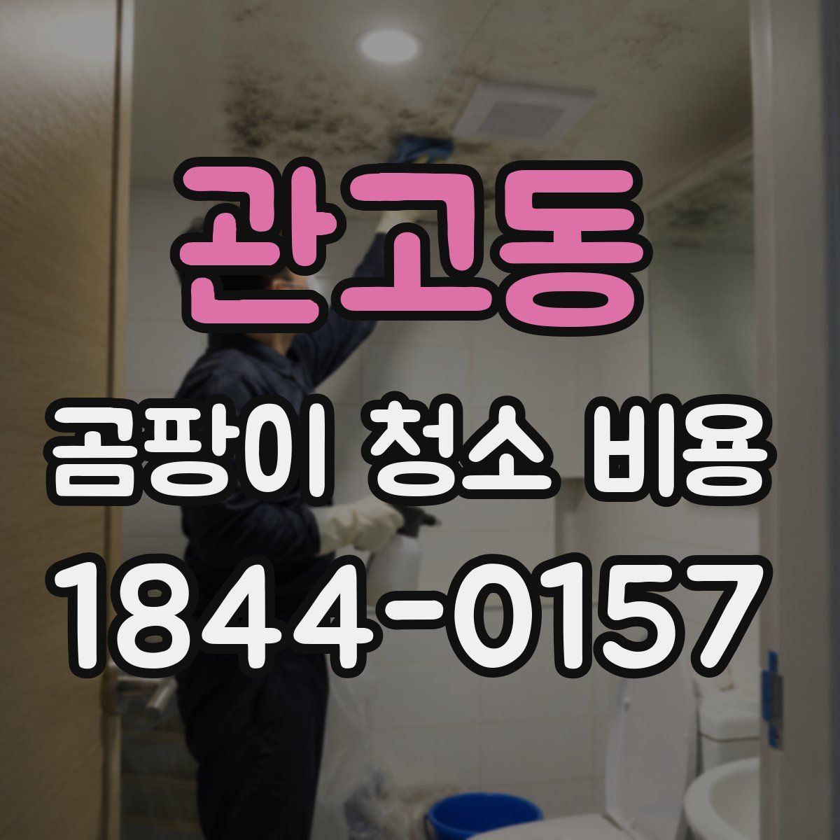 관고동 곰팡이 청소 비용