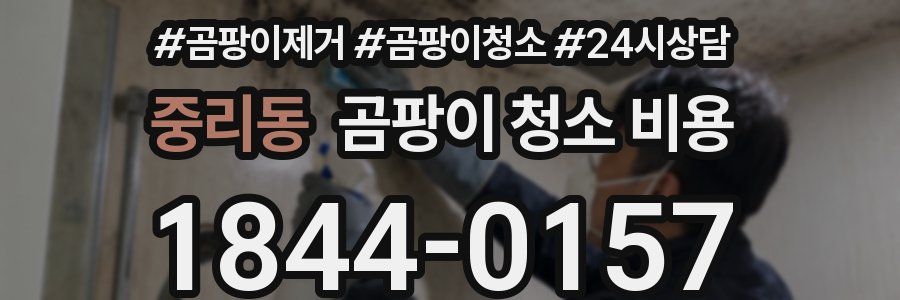 중리동 곰팡이 청소 비용