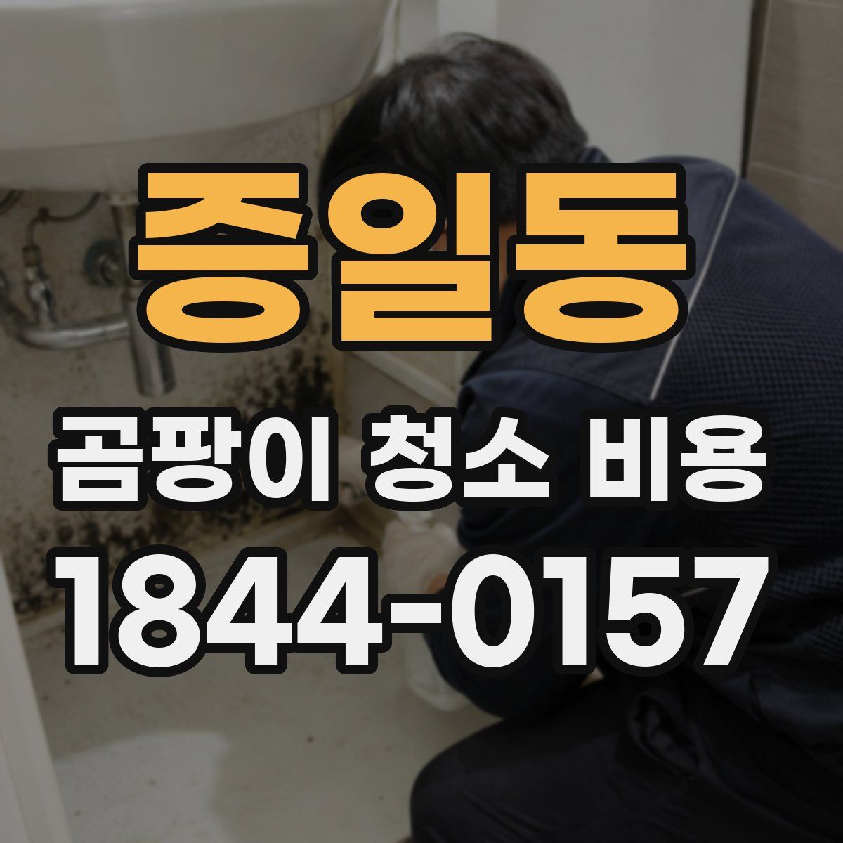 증일동 곰팡이 청소 비용