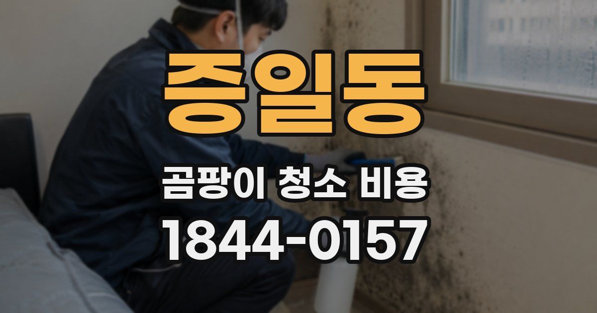 증일동 곰팡이 청소 비용
