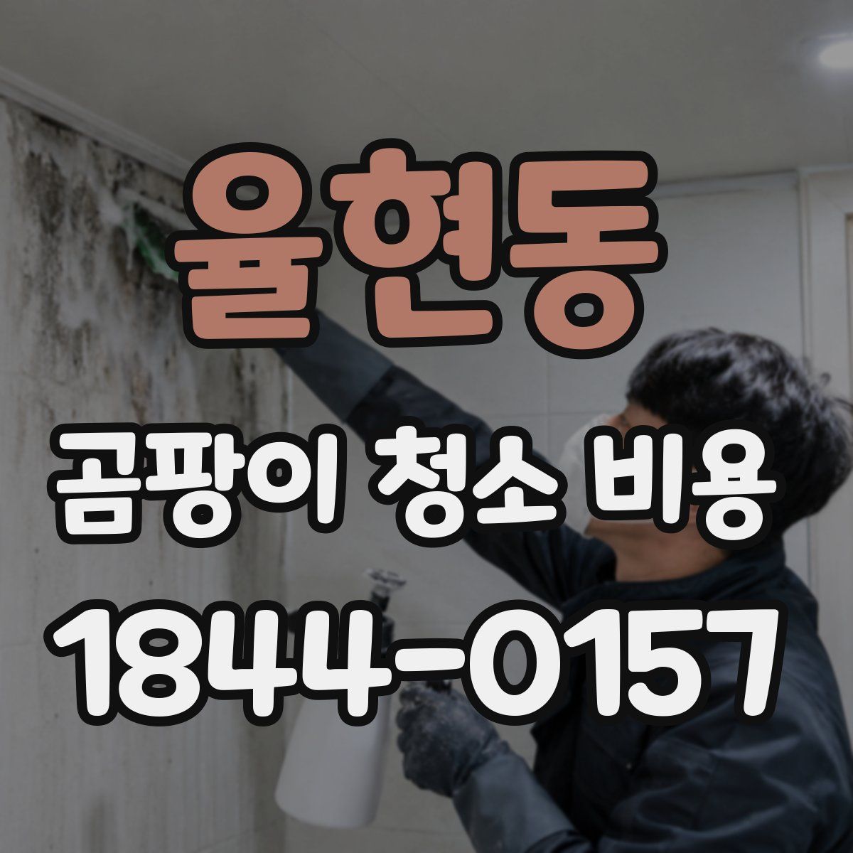 율현동 곰팡이 청소 비용