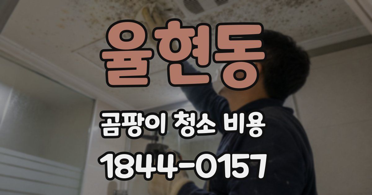 율현동 곰팡이 청소 비용
