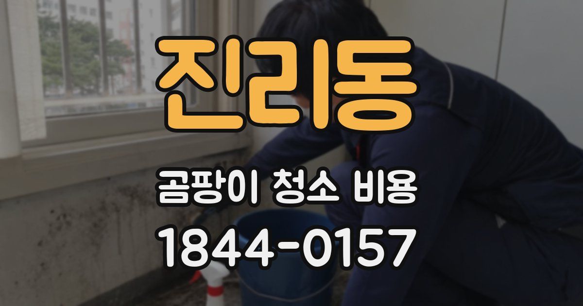 진리동 곰팡이 청소 비용
