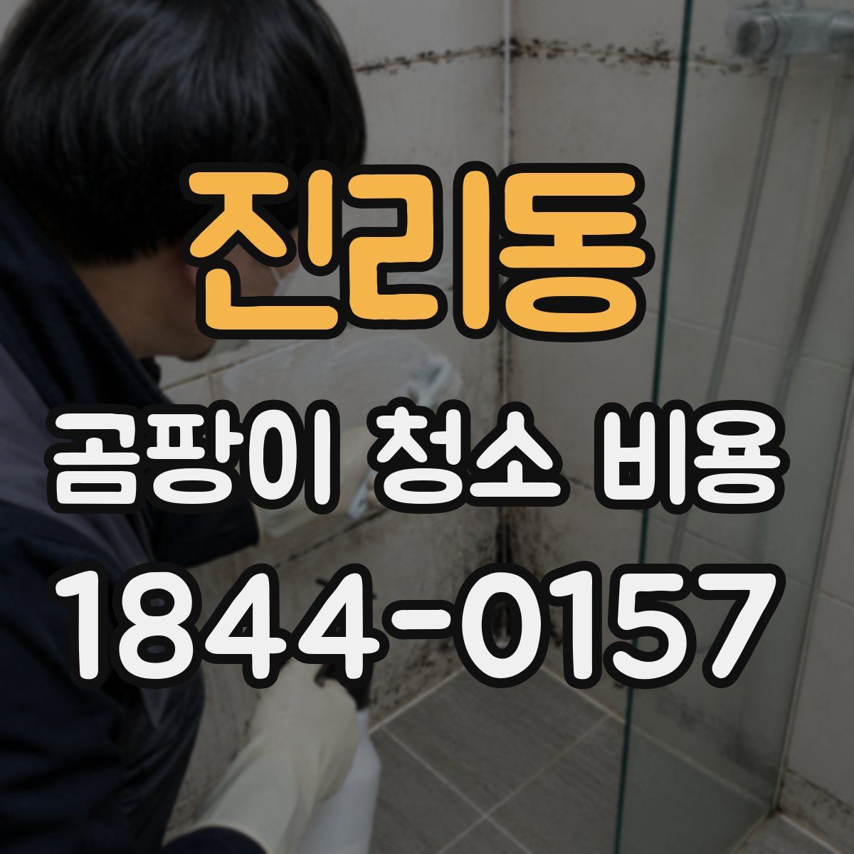 진리동 곰팡이 청소 비용