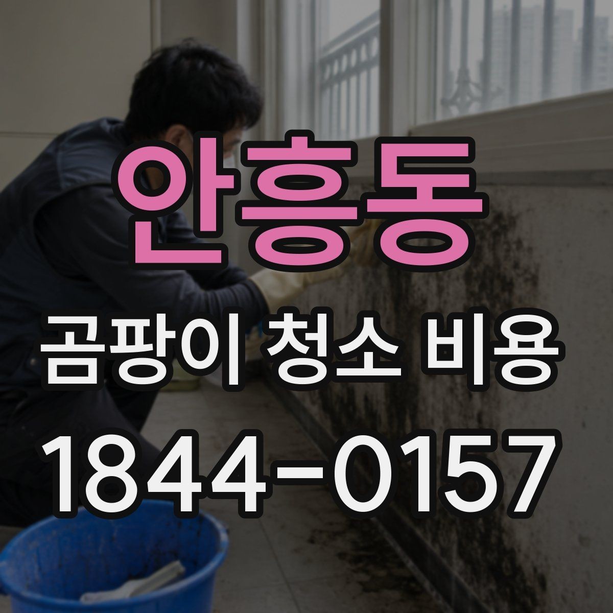 안흥동 곰팡이 청소 비용 결로와 곰팡이를 함께 점검해야 하는 상황