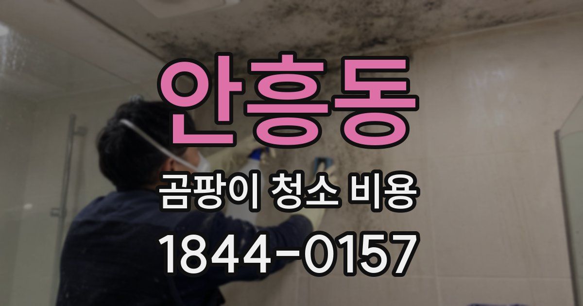 안흥동 곰팡이 청소 비용