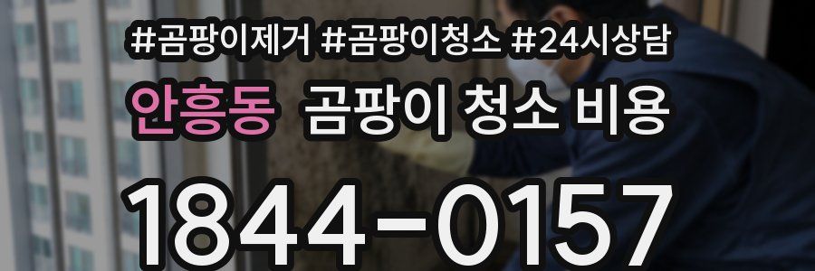 안흥동 곰팡이 청소 비용