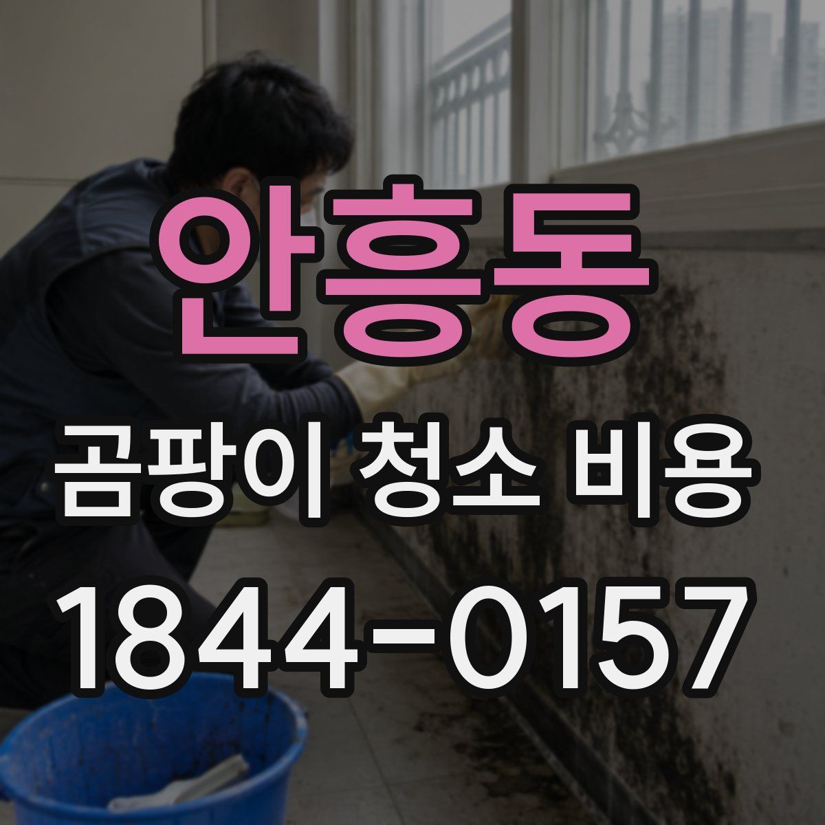 안흥동 곰팡이 청소 비용