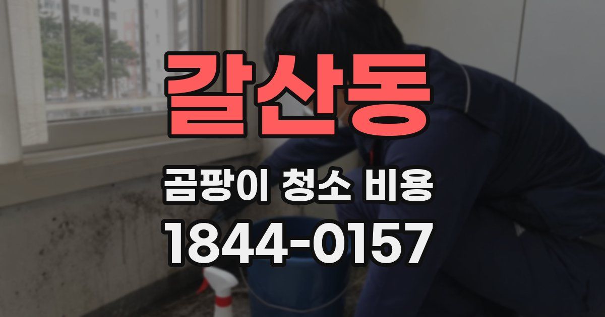 갈산동 곰팡이 청소 비용