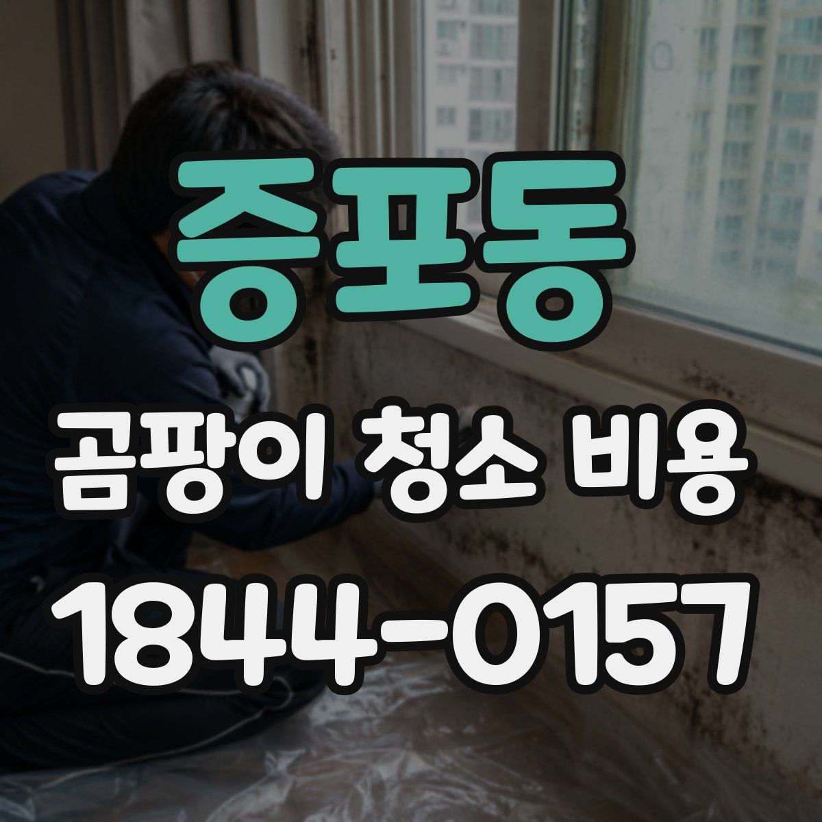 증포동 곰팡이 청소 비용