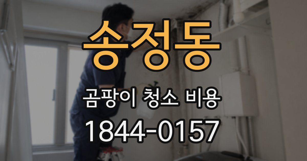 송정동 곰팡이 청소 비용