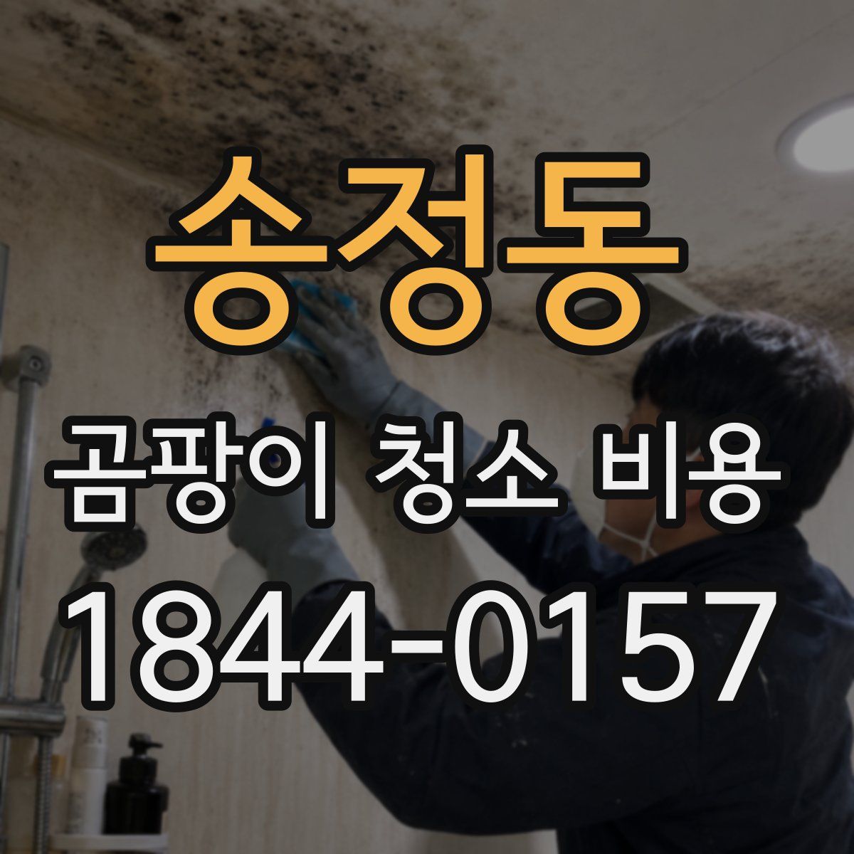 송정동 곰팡이 청소 비용