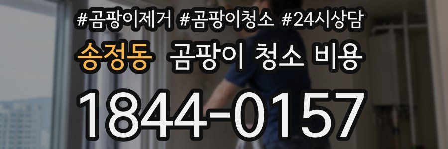 송정동 곰팡이 청소 비용