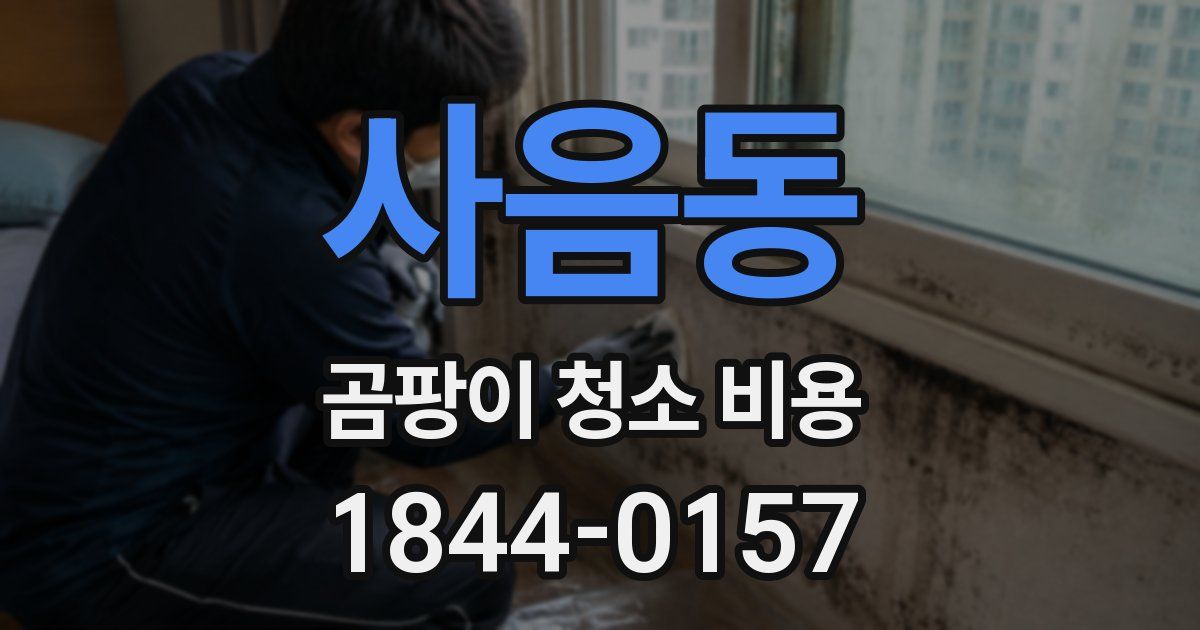 사음동 곰팡이 청소 비용