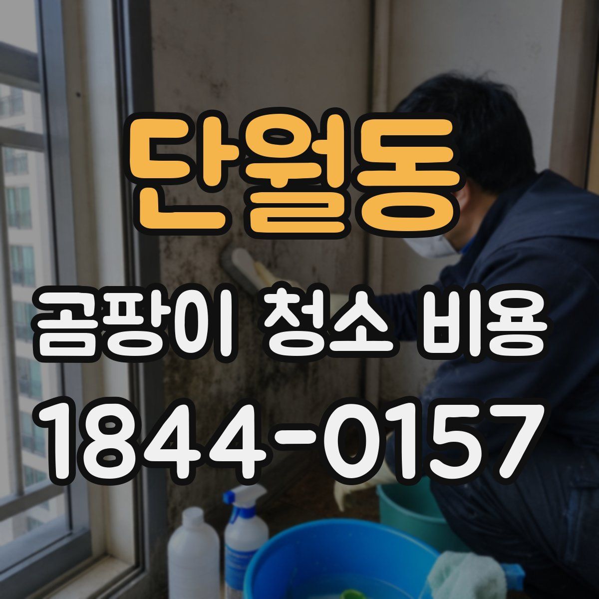 단월동 곰팡이 청소 비용