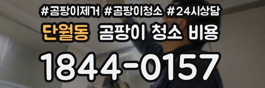 단월동 곰팡이 청소 비용