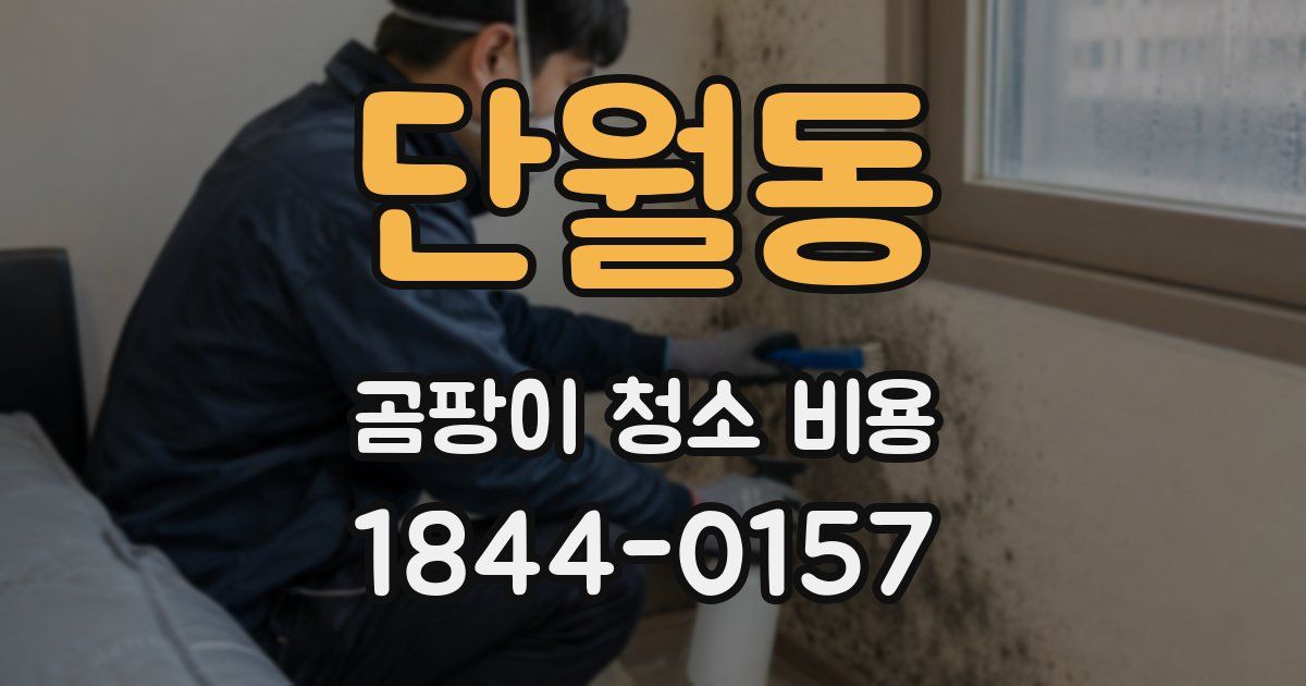 단월동 곰팡이 청소 비용