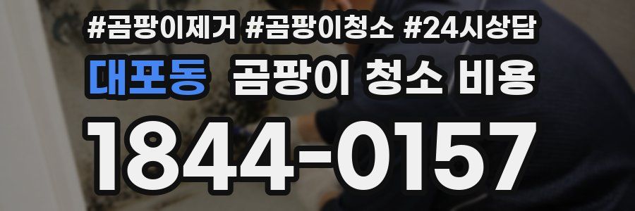 대포동 곰팡이 청소 비용