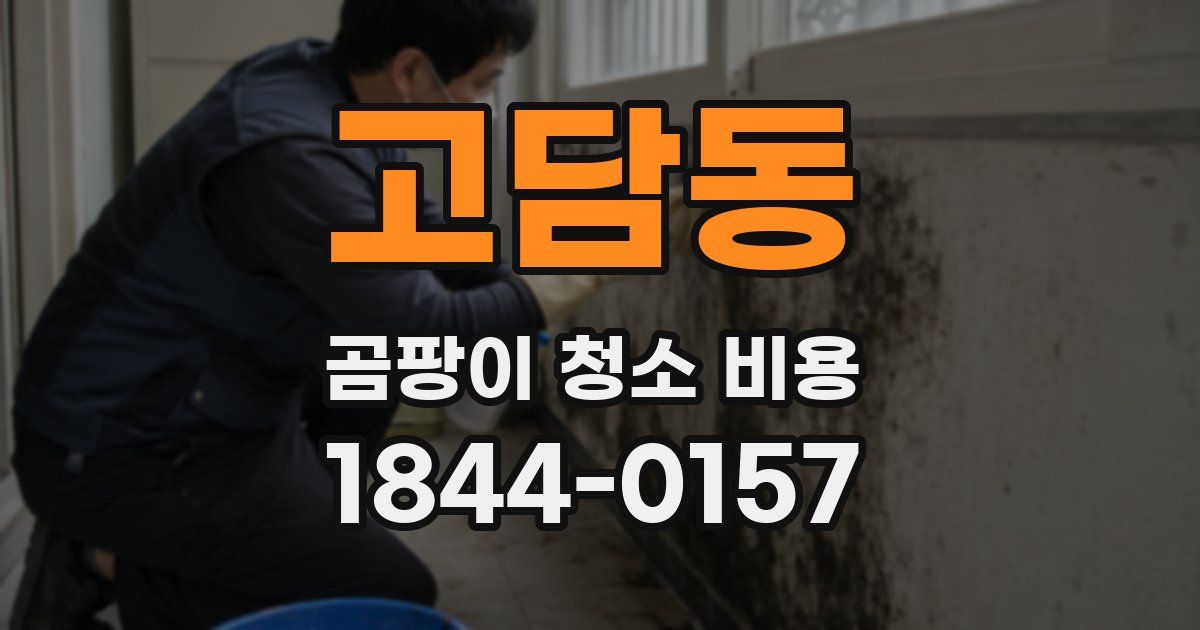 고담동 곰팡이 청소 비용