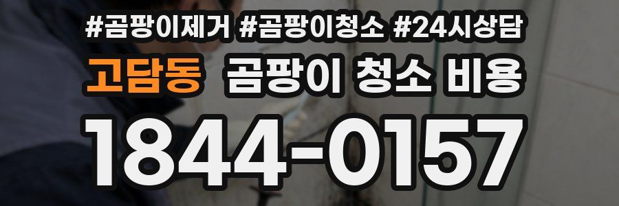 고담동 곰팡이 청소 비용