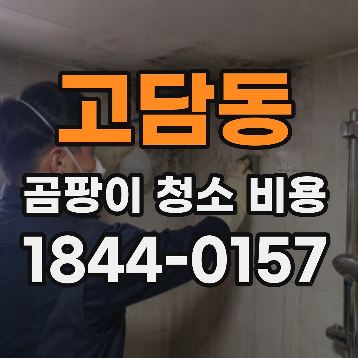 고담동 곰팡이 청소 비용