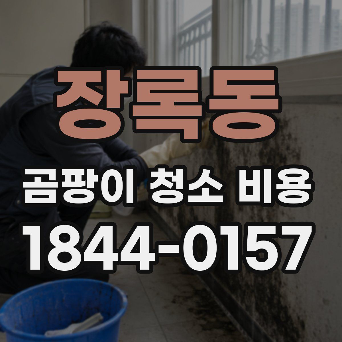 장록동 곰팡이 청소 비용