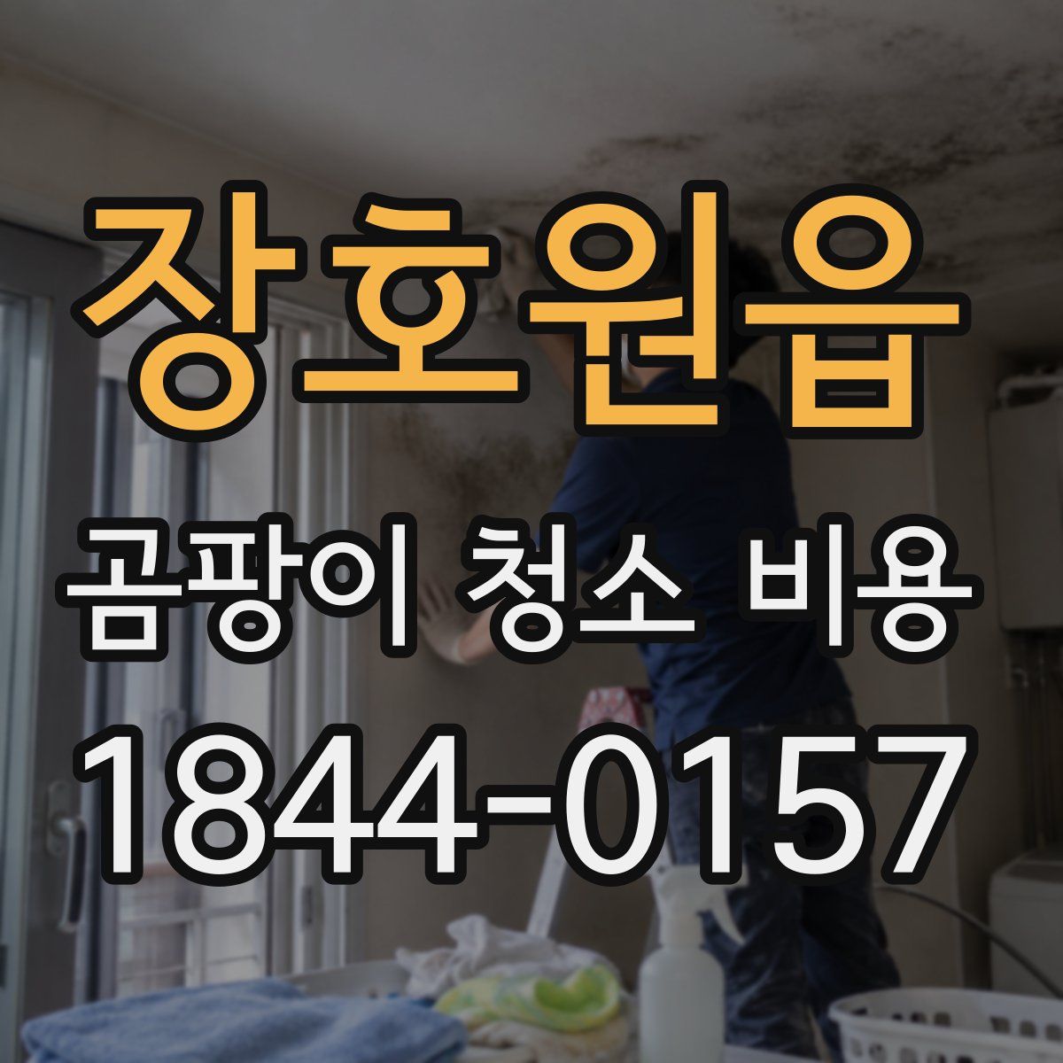 장호원읍 곰팡이 청소 비용