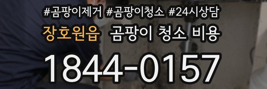 장호원읍 곰팡이 청소 비용