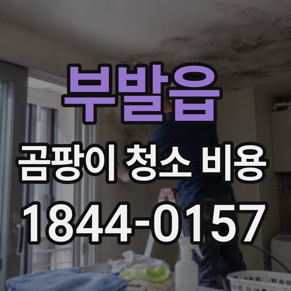 부발읍 곰팡이 청소 비용