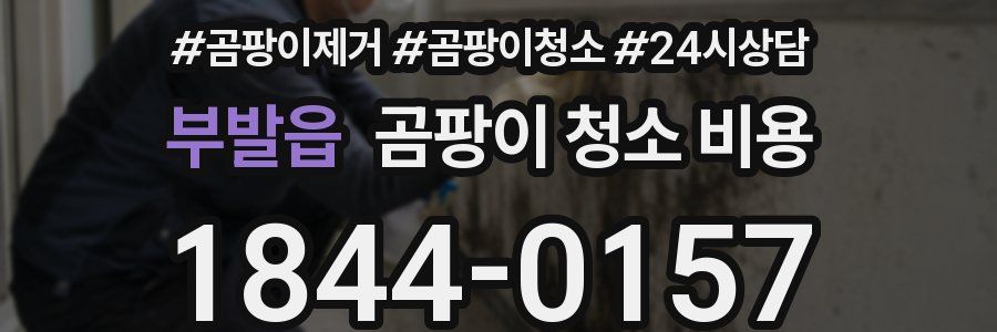 부발읍 곰팡이 청소 비용