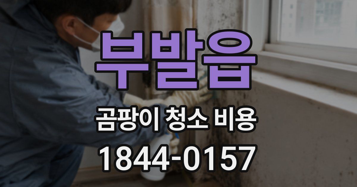 부발읍 곰팡이 청소 비용