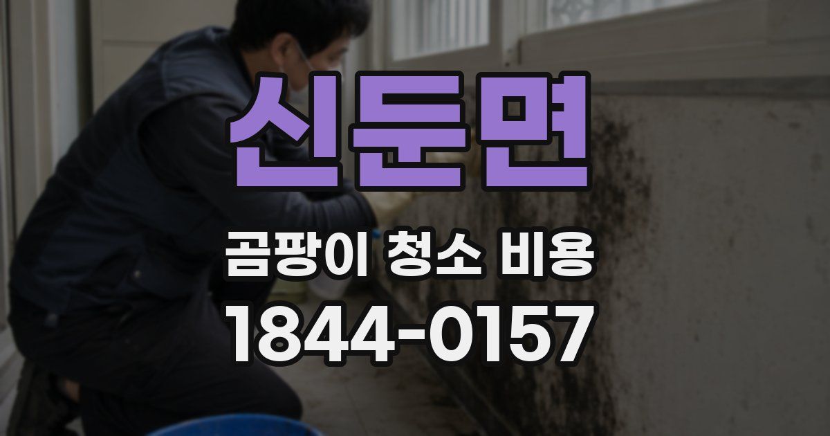 신둔면 곰팡이 청소 비용