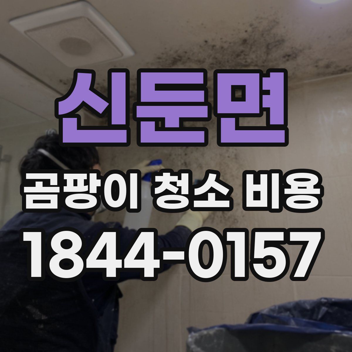 신둔면 곰팡이 청소 비용