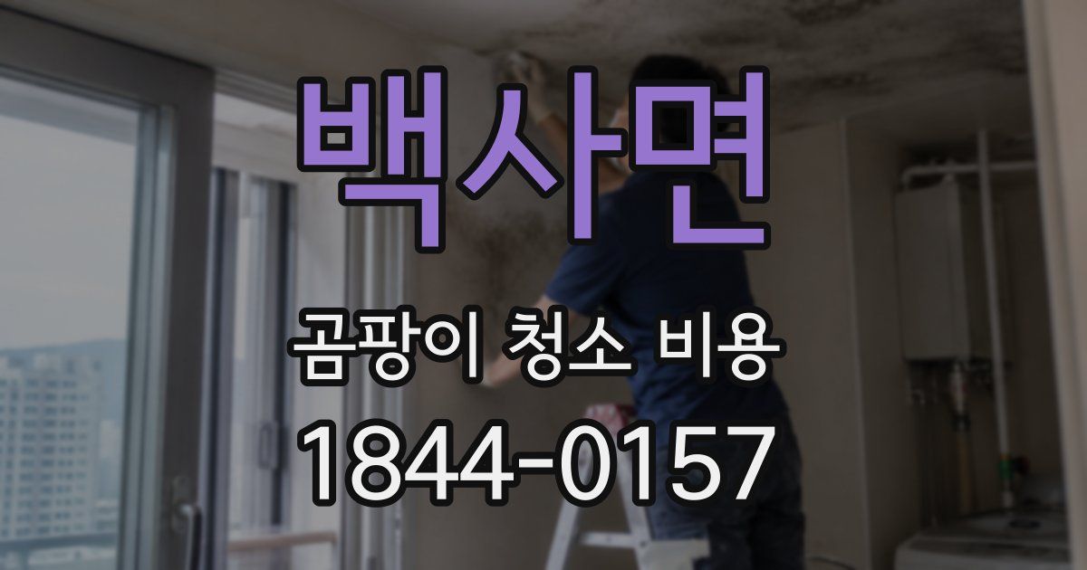 백사면 곰팡이 청소 비용