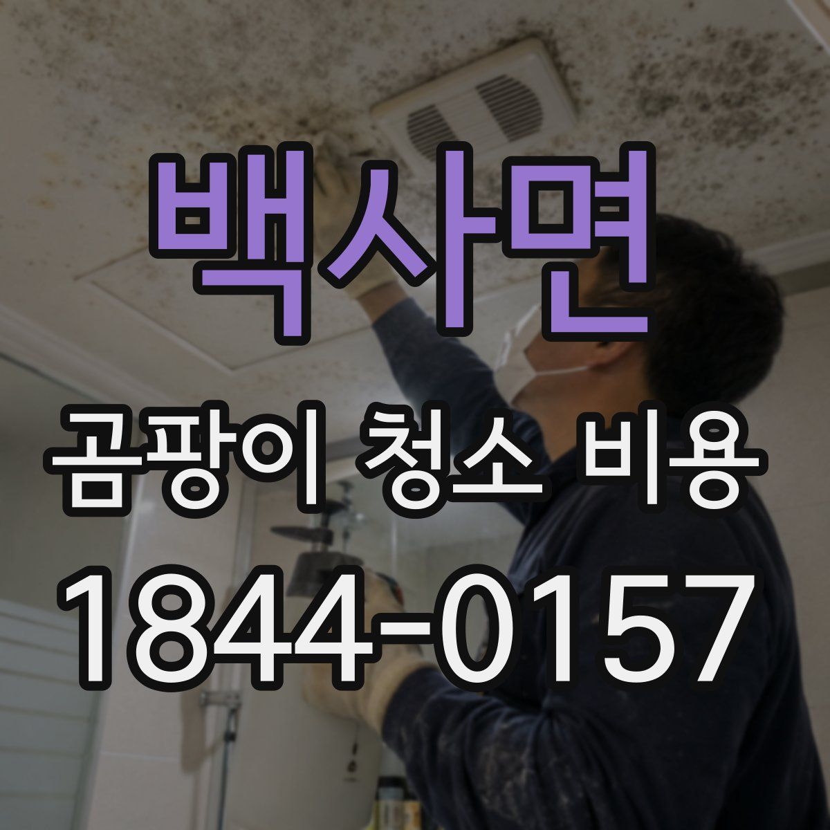 백사면 곰팡이 청소 비용