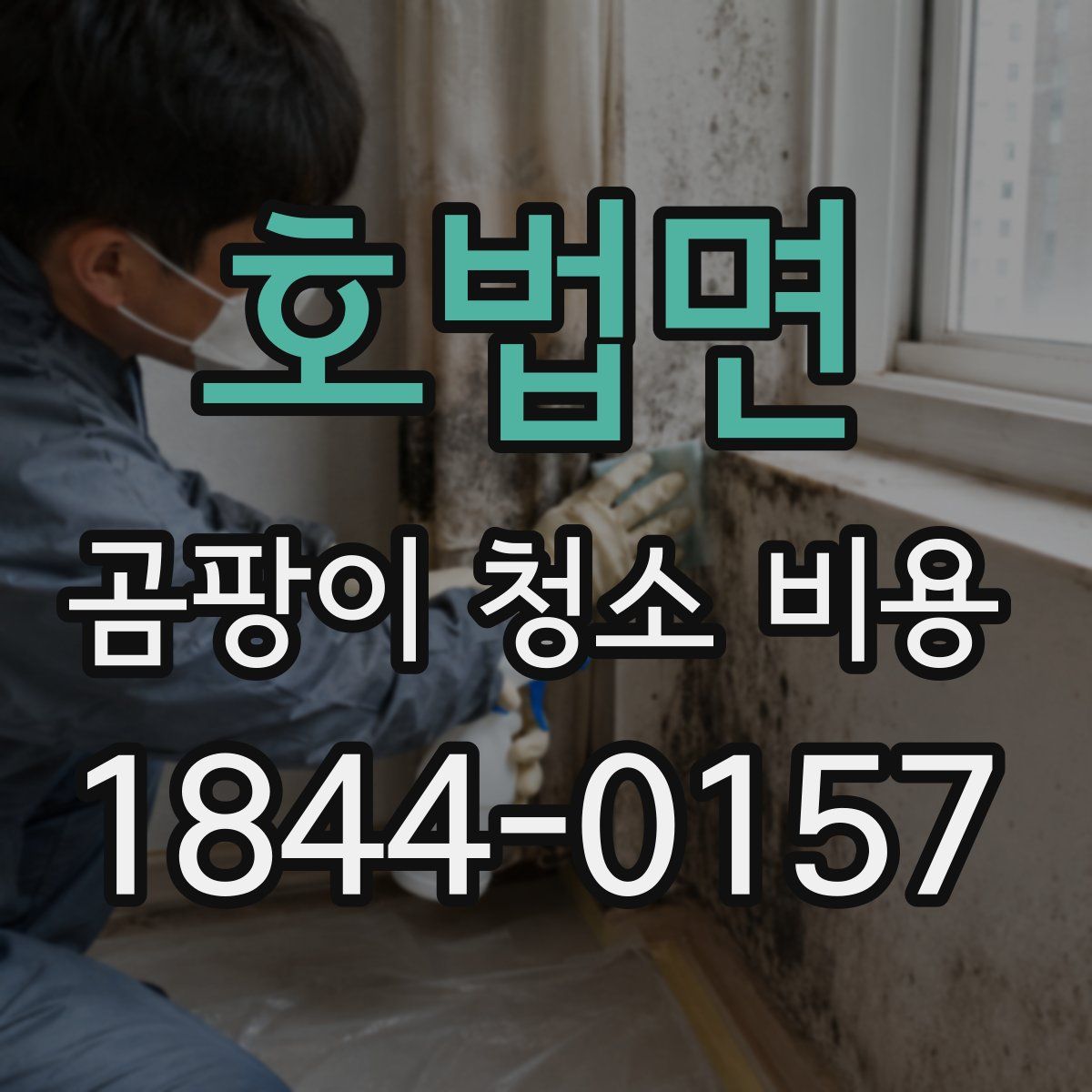 호법면 곰팡이 청소 비용