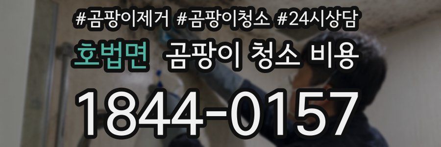 호법면 곰팡이 청소 비용
