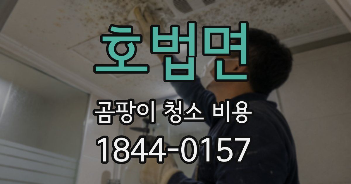 호법면 곰팡이 청소 비용