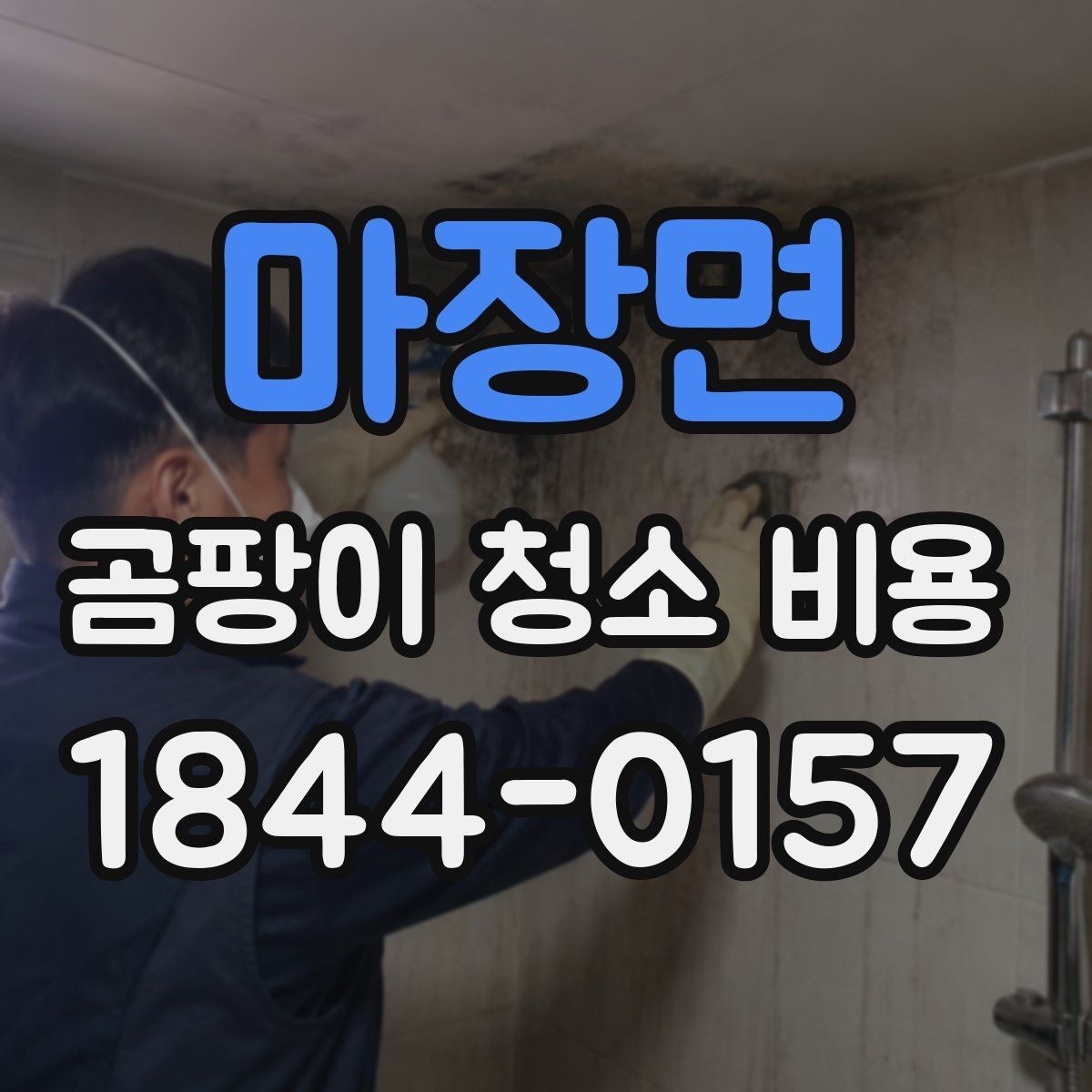 마장면 곰팡이 청소 비용 견적 전 사진으로 볼 항목