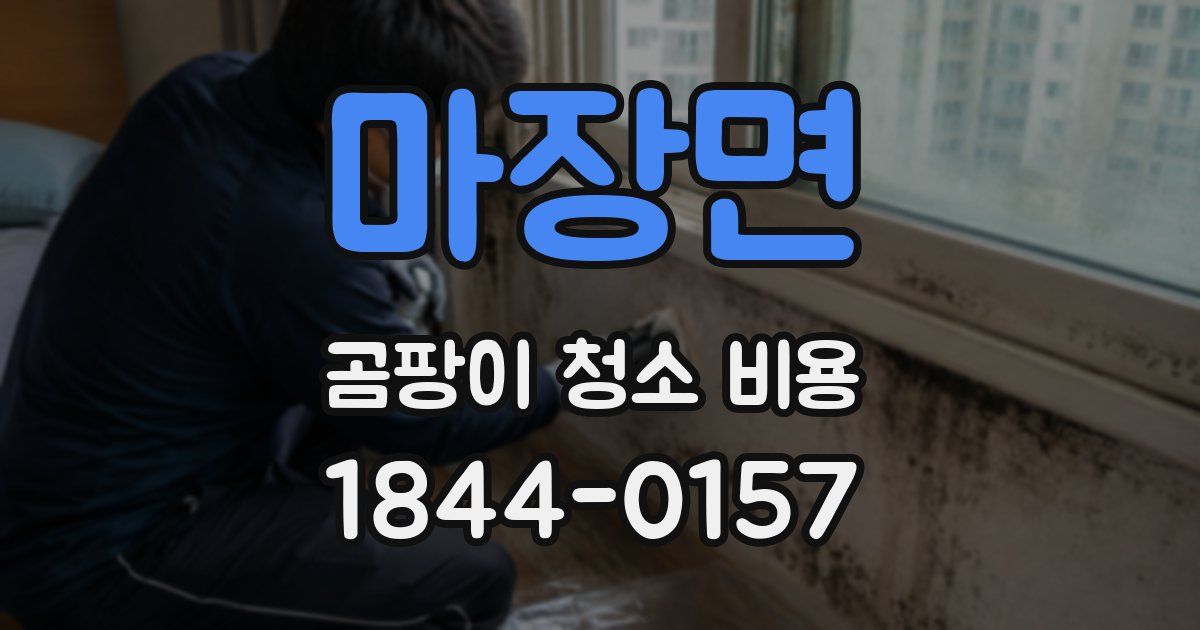 마장면 곰팡이 청소 비용