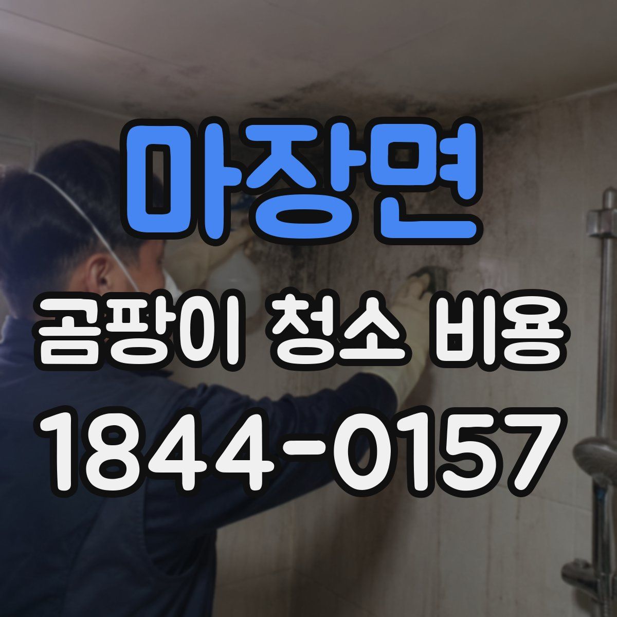 마장면 곰팡이 청소 비용