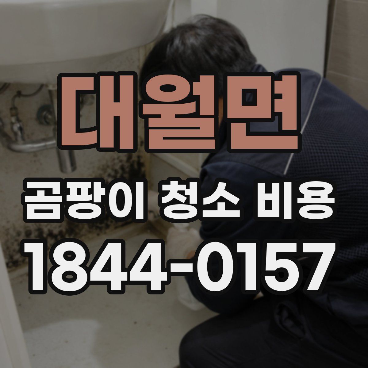 대월면 곰팡이 청소 비용